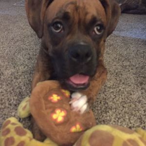 Meet your Posher, Christine